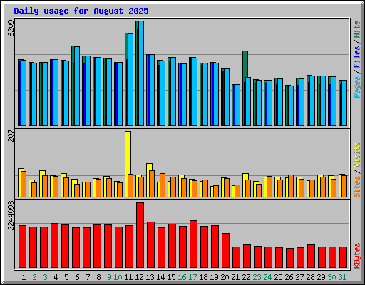 Daily usage for August 2025