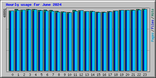 Hourly usage for June 2024