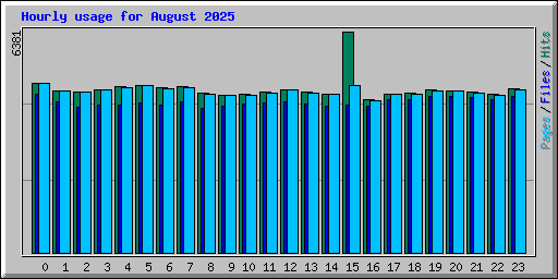 Hourly usage for August 2025