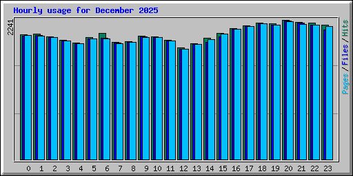 Hourly usage for December 2025