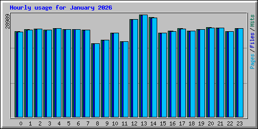 Hourly usage for January 2026