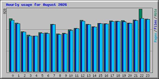 Hourly usage for August 2026